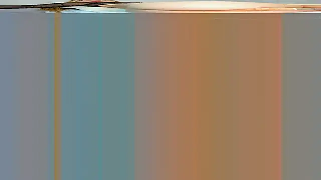 rouss witt online show from 7, 3, 2025