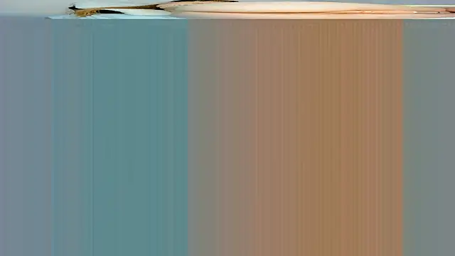 rouss witt online show from 7, 3, 2025