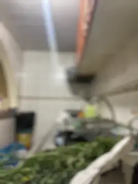 Snapshot of Carola-Ross chatting on 24, 3, 2026 Carola-Ross online show from 24, 3, 2026