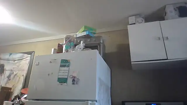 Snapshot of birdg chatting on 2, 3, 2026 birdg online show from 2, 3, 2026