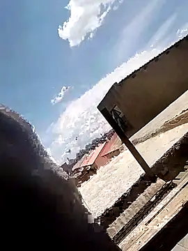 machinery98ron online show from 20, 12, 2025