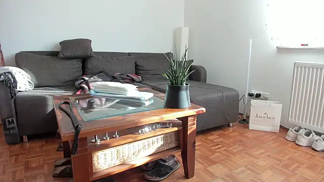 molicaremolicare online show from 27, 11, 2025