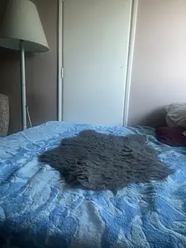 Budibudi5 online show from 12, 10, 2025