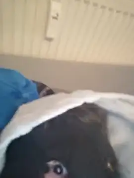 Bigdicklove42x online show from 6, 2, 2026