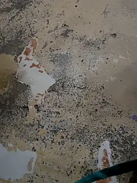 urrubybaby online show from 14, 2, 2025