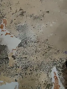 urrubybaby online show from 21, 2, 2025