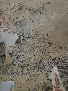 urrubybaby online show from 21, 2, 2025