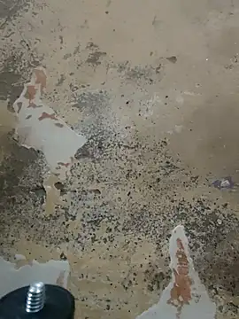 urrubybaby online show from 22, 2, 2025