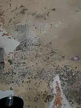 urrubybaby online show from 23, 2, 2025