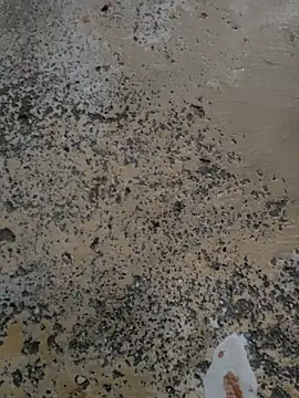 urrubybaby online show from 13, 3, 2025