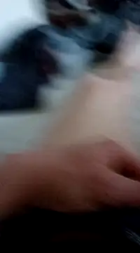 flo000031 online show from 12, 3, 2025