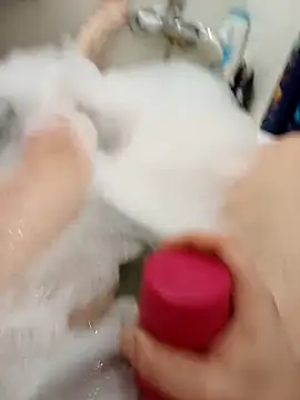 flo000031 online show from 16, 2, 2026