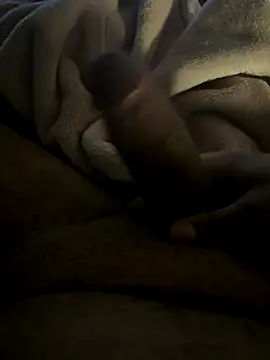 ferfeito online show from 17, 11, 2025