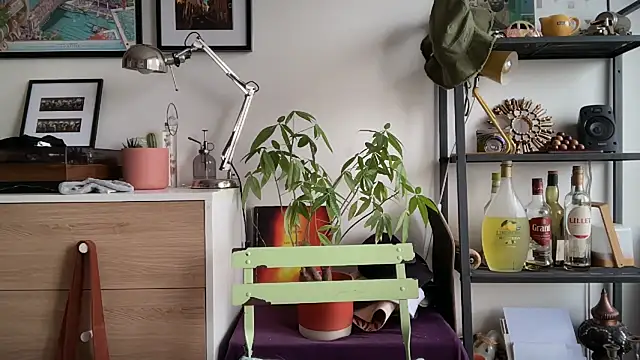 MikymikeBBWD online show from 12, 11, 2025