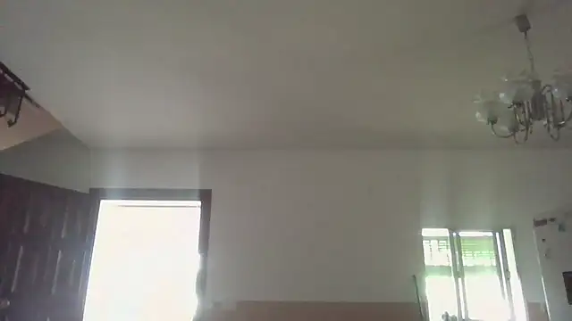 llopaco online show from 20, 6, 2026