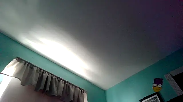 Novabear6996 online show from 5, 1, 2026