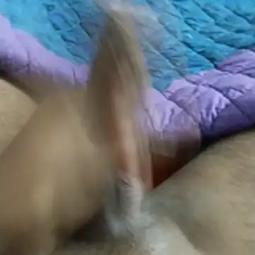 desi pb02 online show from 29, 11, 2025