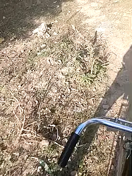 Snapshot of bairobunde chatting on 7, 2, 2026 bairobunde online show from 7, 2, 2026