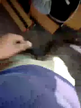 Snapshot of kris478 chatting on 17, 11, 2025 kris478 online show from 17, 11, 2025