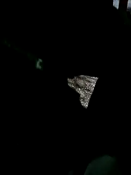 Snapshot of psyb23 chatting on 19, 3, 2025 psyb23 online show from 19, 3, 2025