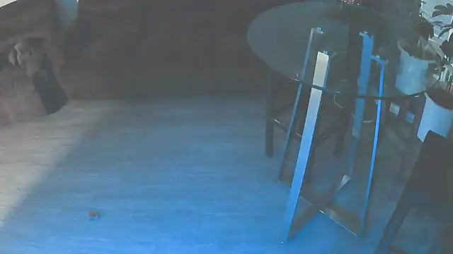 Snapshot of Fuckmehardandcloudy chatting on 18, 1, 2026 Fuckmehardandcloudy online show from 18, 1, 2026