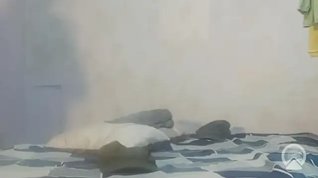 longsexji online show from 18, 3, 2026