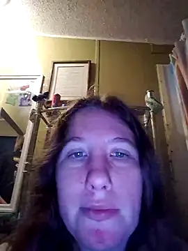 Seductivefoxyxh online show from 25, 11, 2025