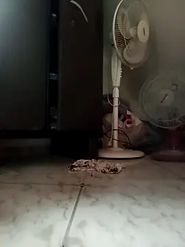 Snapshot of payalchola chatting on 14, 3, 2026 payalchola online show from 14, 3, 2026