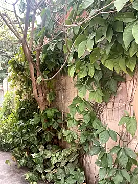 Snapshot of twinks_28 chatting on 14, 1, 2026 twinks 28 online show from 14, 1, 2026