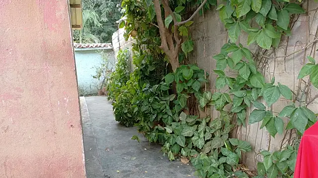 Snapshot of twinks_28 chatting on 17, 1, 2026 twinks 28 online show from 17, 1, 2026