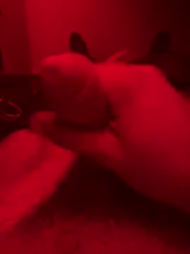 ruchacz24 online show from 14, 10, 2025