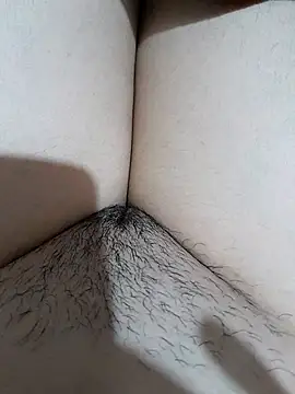 yakot7 online show from 17, 11, 2025