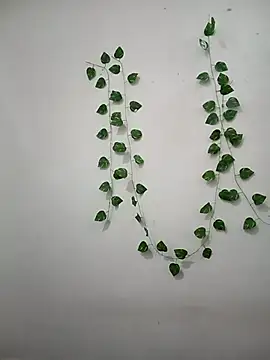 Neha-Bhabhi-Rasily online show from 22, 2, 2026