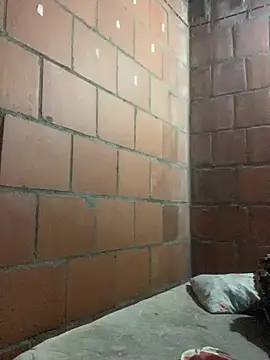 sex room 1608 online show from 16, 5, 2026