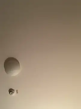 Saysay-7 online show from 20, 11, 2025