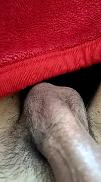 Jaipuri Boy online show from 21, 3, 2025