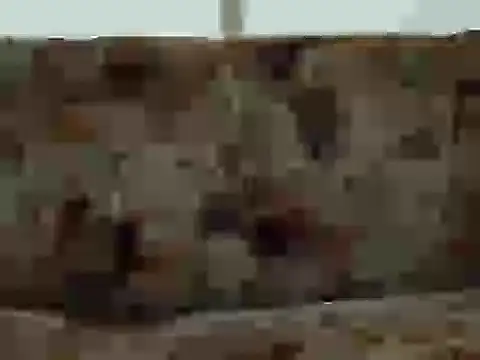 priya patel online show from 12, 9, 2025