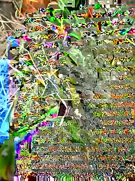 Snapshot of himvilohi08 chatting on 27, 9, 2025 himvilohi08 online show from 27, 9, 2025