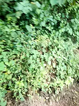 Snapshot of himvilohi08 chatting on 2, 10, 2025 himvilohi08 online show from 2, 10, 2025