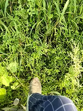 Snapshot of himvilohi08 chatting on 11, 10, 2025 himvilohi08 online show from 11, 10, 2025