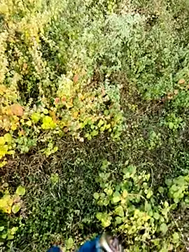 Snapshot of himvilohi08 chatting on 4, 12, 2025 himvilohi08 online show from 4, 12, 2025