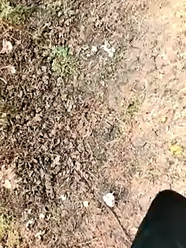 Snapshot of himvilohi08 chatting on 7, 1, 2026 himvilohi08 online show from 7, 1, 2026