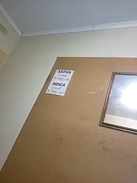 bakedsnackmmh online show from 30, 3, 2026