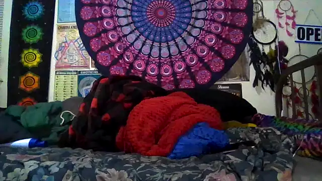 GardeniaFields online show from 8, 3, 2026