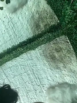 val zx online show from 22, 3, 2026