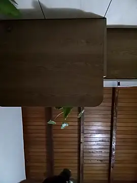 Snapshot of Sexi_girl29 chatting on 2, 10, 2025 Sexi girl29 online show from 2, 10, 2025