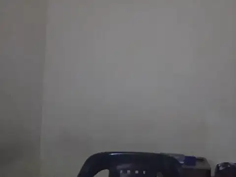 Snapshot of Visculi chatting on 14, 12, 2025 Visculi online show from 14, 12, 2025