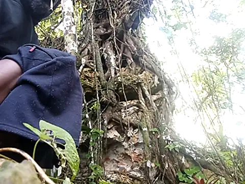 rasvinchi online show from 29, 3, 2026