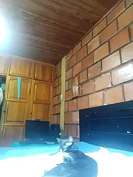 Snapshot of Lady_Lolla11 chatting on 16, 12, 2025 Lady Lolla11 online show from 16, 12, 2025