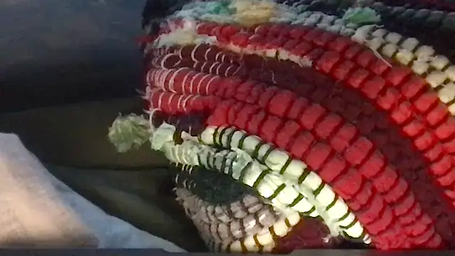 twink69Finger online show from 31, 3, 2026